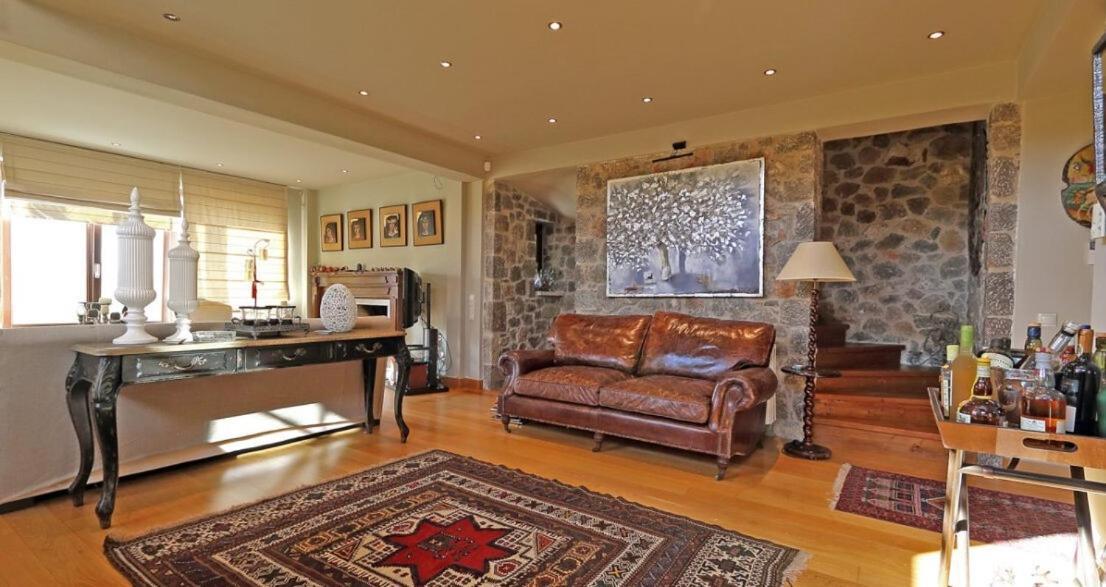 Plethora Arachova Luxury Chalet Exterior foto